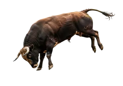 Imagen PNG para descargar